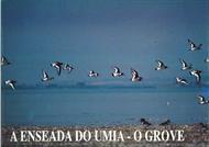Enseada do Umia-O Grove